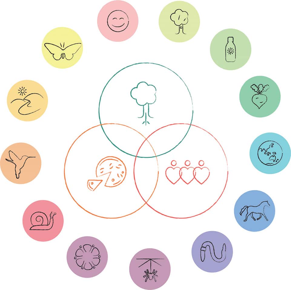 La permaculture : semer les graines du changement