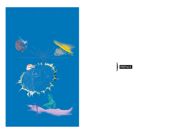 ville permaculturelle Notre ville permaculturelle (livre papier) – Image 5