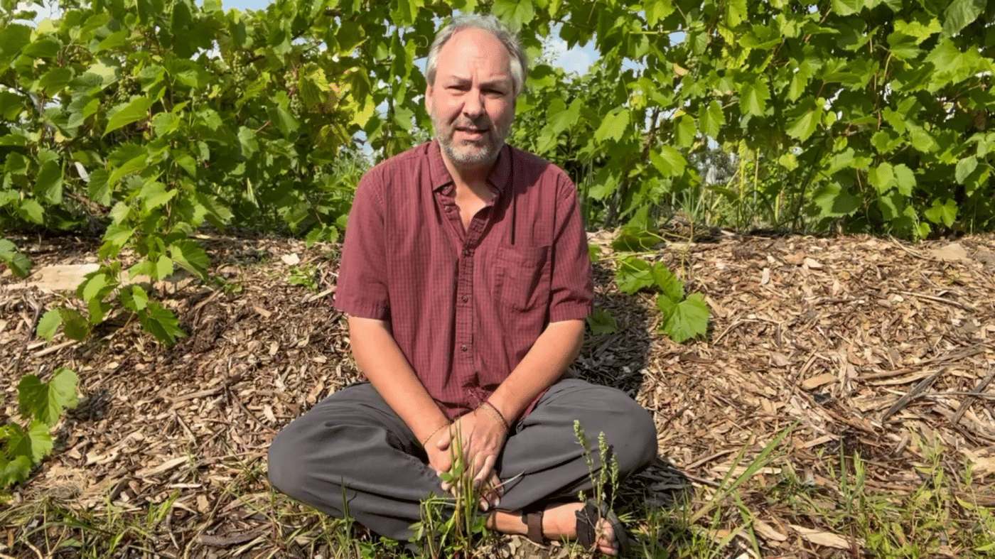 foret nourricière boréale Forêt nourricière boréale (édition numérique) – Image 5
