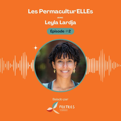 Les batiments écologiques urbains avec Leyla Lardja